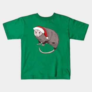 Christmas Possum single Kids T-Shirt